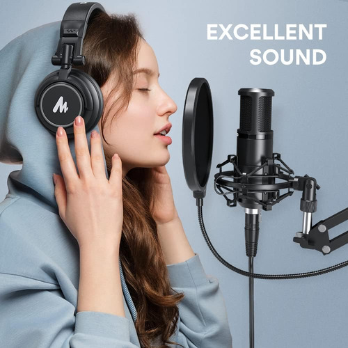 Interfaz De Audio Con Micrófono De Condensador Xlr