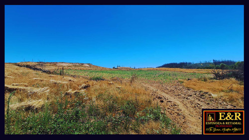 Parcelas A Orilla De Carretera, Sta. Juan (67691)