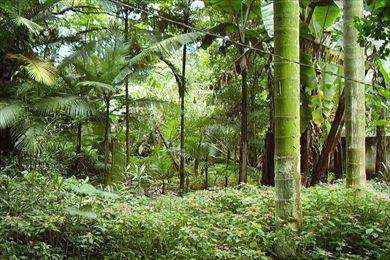 Imagem 10 de 30 de Casa Em Santana De Parnaíba Bairro Parque Vila Rica - V16000