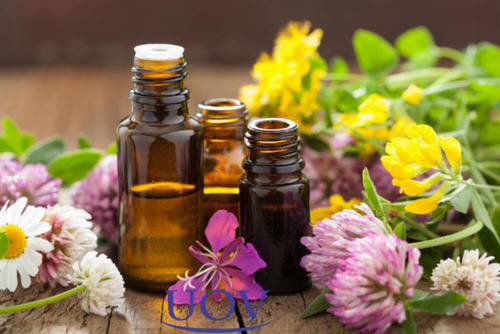 Imagem 1 de 1 de Atendimento - Terapeuta Florais De Saint Germain
