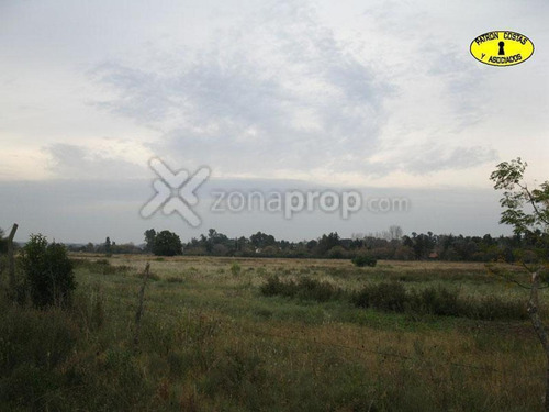 Imagen 1 de 8 de 0781-hp-9.4 Ha- Rp 25 - Villa Rosa - Pilar