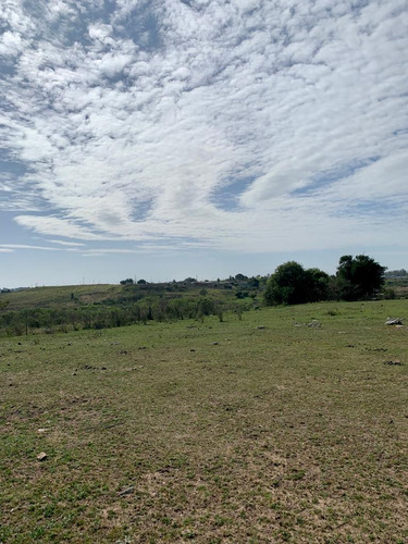 En Venta Chacra En Salto. Ruta 3 ¡atención Inversores Y Empresarios!
