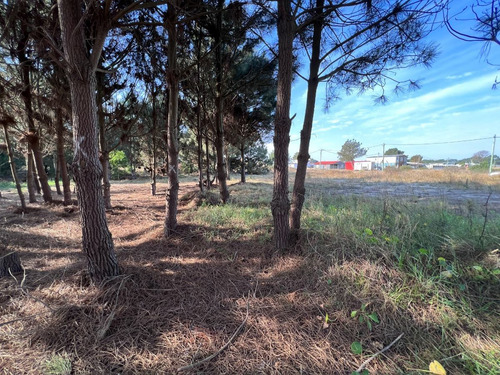 Imagen 14 de 18 de Venta Terreno Financiable Lomas De Solymar Canelones