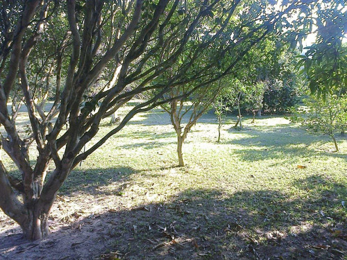 Imagem 7 de 30 de Chácara Com 4 Dormitórios À Venda, 8000 M² Por R$ 1.200.000,00 - Ipiranga - Elias Fausto/sp - Ch0025