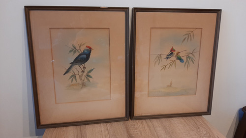 2 Antiguos Cuadros, Pintados A Lapiz Con Motivo Pájaros