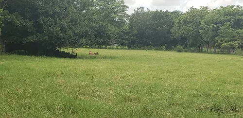 Finca En Venta A 15 Minutos Del Centro De Cerete
