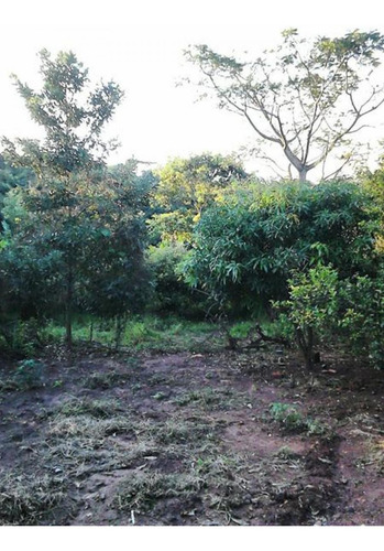 Imagem 9 de 10 de Terrenos - Ref: V4690