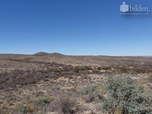 Imagen 5 de 12 de Terreno En Venta San Pedro Del Gallo