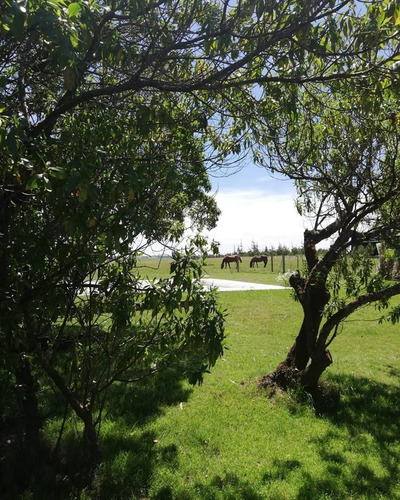 Casa  En Venta Ubicado En Las Garzas,  Rocha