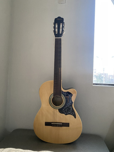 Guitarra Freeman + Sistema De Audio(electroacustica) + Funda