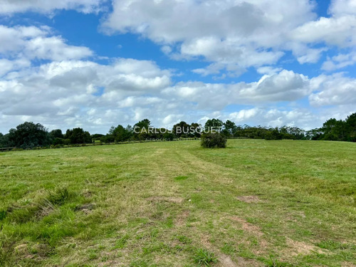 Chacra En Venta De 1 Ha. En Jose Ignacio, Zona Medellin
