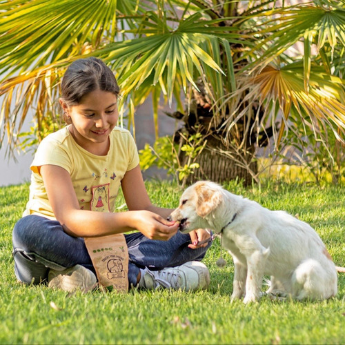 Imagen 7 de 8 de Premios Para Perro Naturales Qkis Paquete De 4