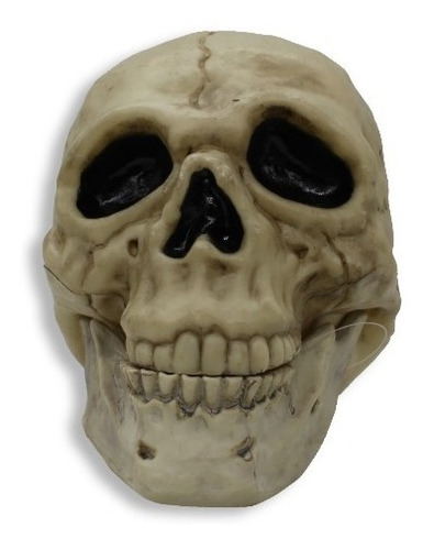 Calavera Cráneo Pirata Decoración Halloween 