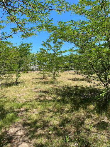 Imagen 6 de 14 de Dueño Vende Hermoso Lote En Villa Elisa, La Plata Calle 409