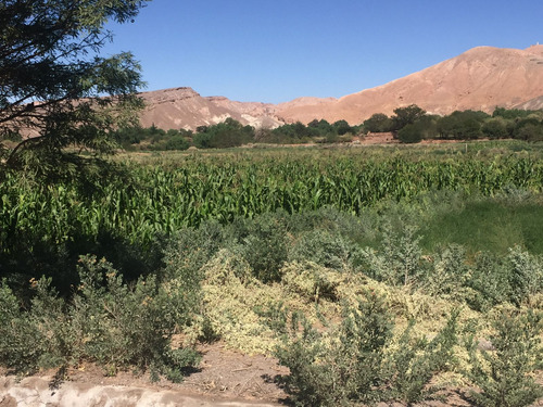 Gran Terreno En Venta, San Pedro De Atacama.