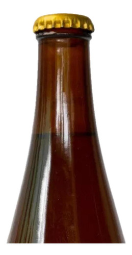 Pack De 24 Ginger Beer Birra Golden 355 Ml