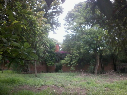 Imagen 8 de 8 de Terreno Comercial En Venta Itzamatitlan
