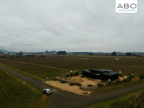 Santa Cruz - Viña 5.000 M2 - Fuegos De Apalta