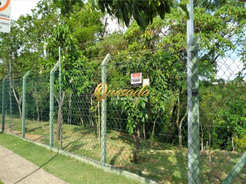 Imagem 18 de 19 de Terreno - Te00451 - 70630886