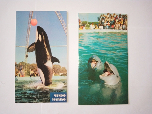 Postales De Mundo Marino - Orca Y Delfín 