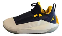 Comprar Nike Air Jordan Jumpman Hustle Michigan Sz 9 Basketball