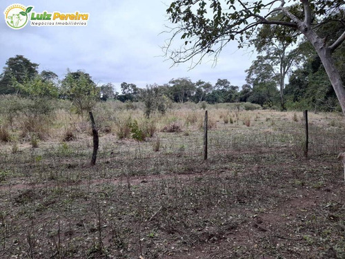Imagem 2 de 12 de Fazenda À Venda Em Nioaque - Ms - 126 Hectares - (dupla Aptidão) - 2131
