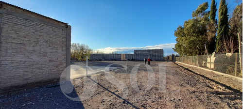 Imagen 20 de 30 de Galpón 1500 M2 En Allen