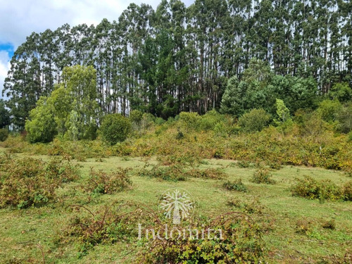 Terreno De 1 Hectarea Con Rio En Fresia