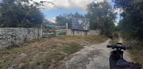 Imagen 6 de 20 de Lotes Residenciales De Inversión En Habinta Cerca De Chicxu