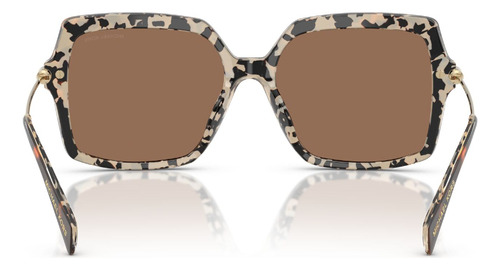 Lentes De Sol Quogue Marrón Michael Kors Mk2247u395173 Varilla Havana Armazón Havana