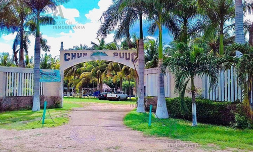 Imagen 2 de 8 de Terreno En Venta Sobre Carretera Ticul, Yucatán. Ctv15.