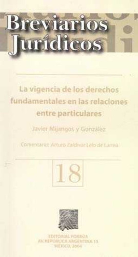 Vigencia De Los Derechos Fundamentales En Las Relaciones 18, De Javier Mijangos Y González. Editorial Porrúa México En Español