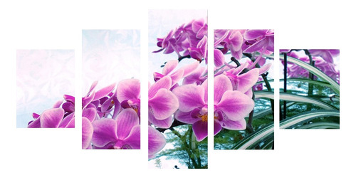 Decoración Casera Moderna 40/60 / 80cm Orquídea