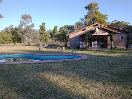 Imagen 6 de 7 de Campo En Venta 3,5 Has En Punta Indio