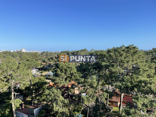 Imagen 10 de 12 de Apartamento En Venta - Roosevelt