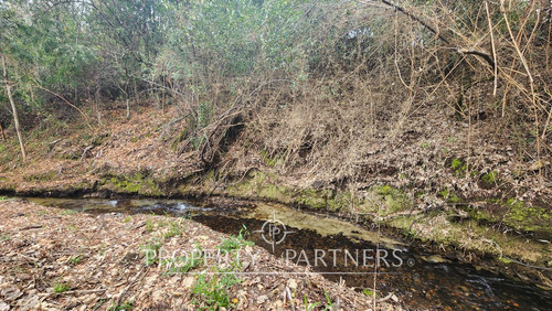 Casa En Terreno De 7 Mil Mts2 Con Lindo Estero