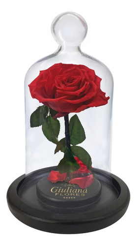 Rosa Encantada Vermelha Giuliana Flores | Parcelamento sem juros
