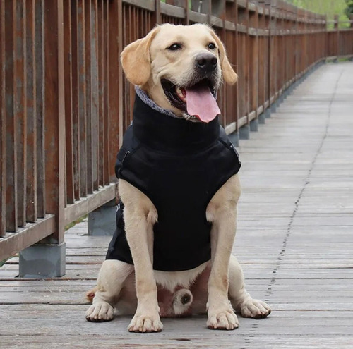 Marben Pets® Parka Impermeable Con Felpa Cf Azul 3xl