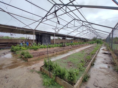 Imagen 16 de 23 de En Venta Amplio Terreno Con Granja Agricola Ubicado En La Estratégica Av Los Aviadores 23-8117 Ejc