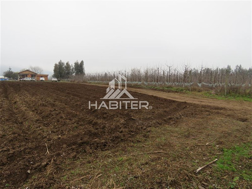 Imagen 19 de 30 de Agrícola En Venta En Teno