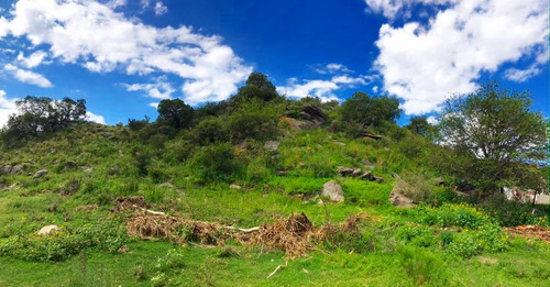 Imagen 6 de 8 de Cod 346 : 3 Lotes En Venta De 750m2 C/u Aprox Ubicados En Huerta Grande