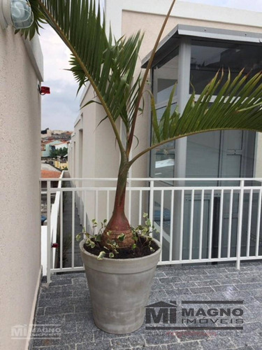 Imagem 3 de 9 de Apartamento Com 2 Dormitórios À Venda, 51 M² Por R$ 239.000,00 - Itaquera - São Paulo/sp - Ap2017