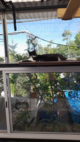 Imagen 4 de 5 de Guardería En Casa Para Gatos