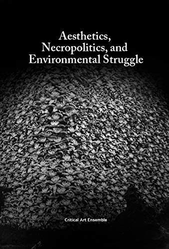 Libro: Aesthetics, Necropolitics And Environmental Struggle