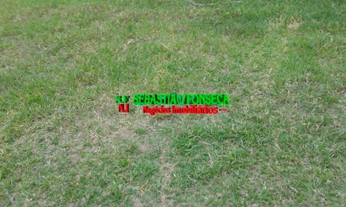 Imagem 6 de 15 de Fazenda Em Santa Branca 125 Alqueires - 805