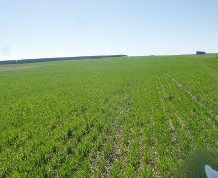 Imagen 11 de 15 de Terreno Campo En Venta Ubicado En Aguada, Montevideo