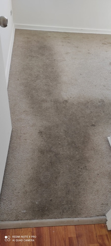 Limpieza Alfombras,sofás, Decapado De Piso