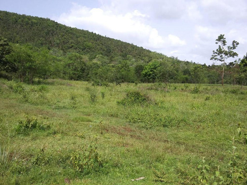 Te Vendo Finca En Bayaguana Monte Plata.