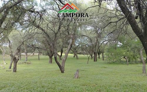 Imagen 3 de 10 de Campo A La Venta Ganadero En San Luis
