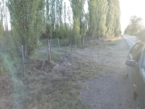 Imagen 15 de 28 de Vendo/permuto Finca Apto Todo Destino (viña, Cultivos Grales Y Ademas Cannabis Medicinal) O Loteo Club De Campo -alto Del Algarrobal-san Rafael -mendoza Sobre Rn 146 Km 376.1